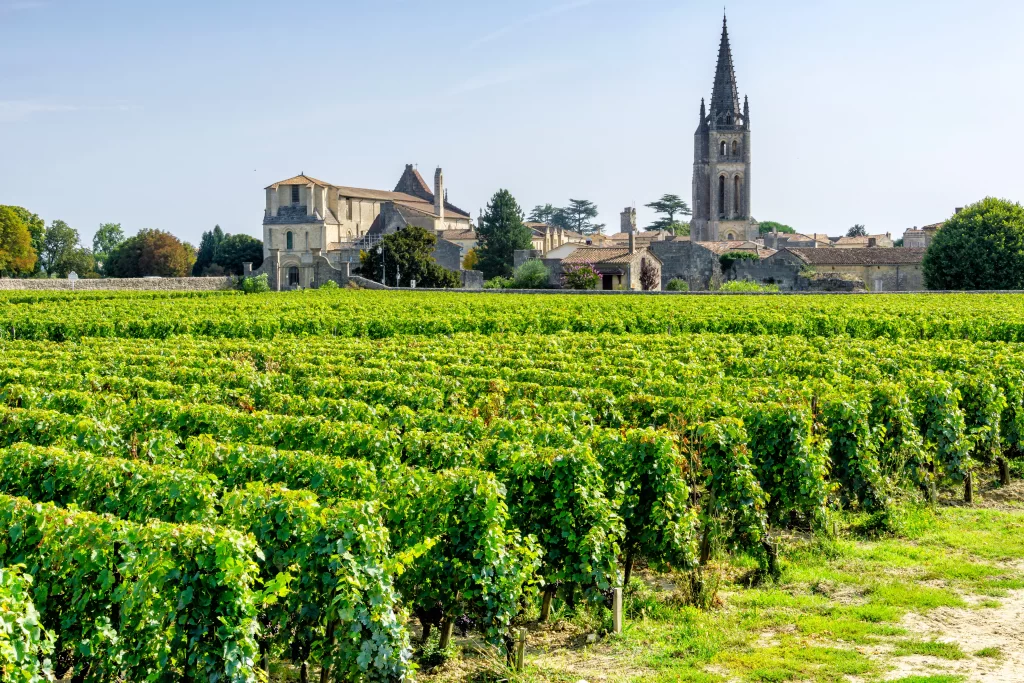 A picturesque view of a vineyard in Saint-Emilion, Gironde.
